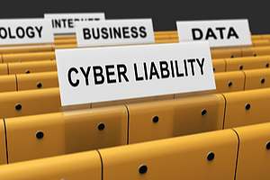 Cyber liability file