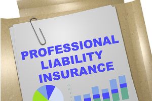 Small business document titled Professional Liability Insurance