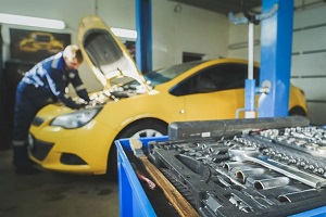 tools in garage with keeper in background