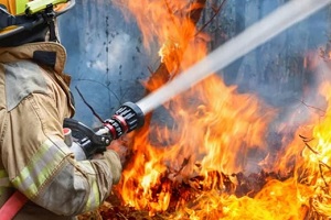 fire fighter spraying water on wildfire