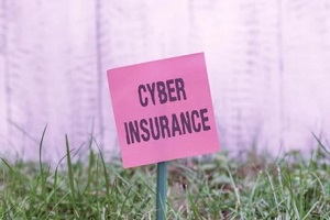 cyber insurance board