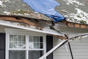 house crushed by fallen trees and tree limbs during severe winter storm with strong winds