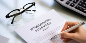 Person Reading Homeowners Insurance Policy Document